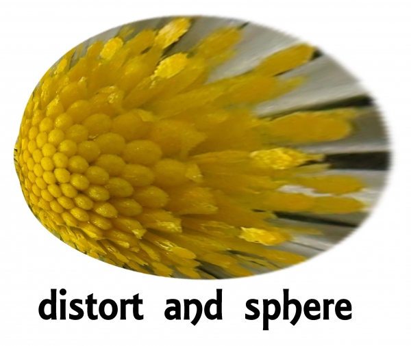 Creation of Shuttlecocks: Step 2